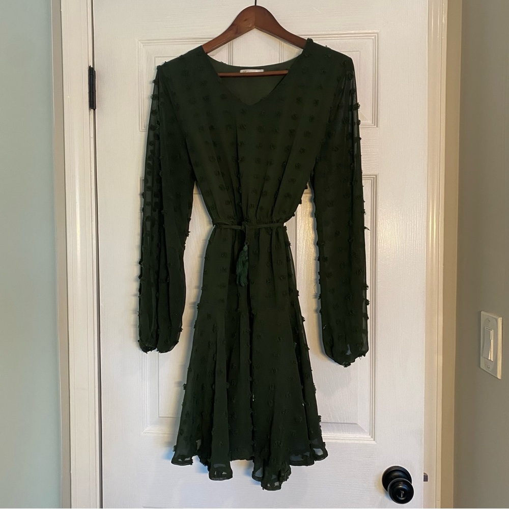 SHEIN long sleeve Swiss dot dress